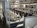 Klik voor vergroting Foto 26